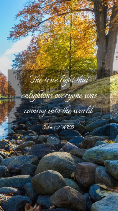 Picture 03 - John 1:9 WEB Mobile Phone Wallpaper - The true light that enlightens everyone was - Mobile Bible Verse Wallpaper
