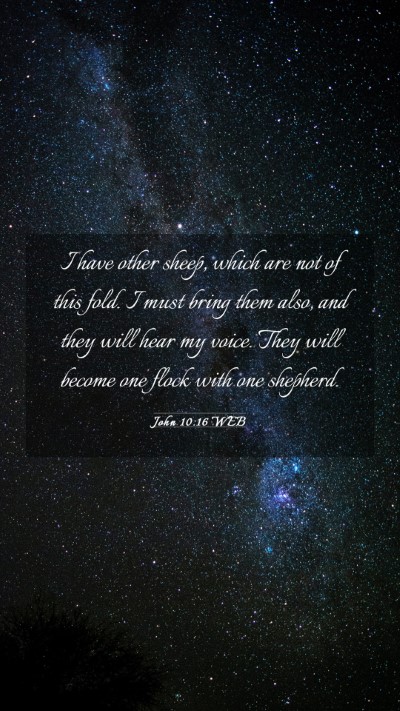 Picture 03 - John 10:16 WEB Mobile Phone Wallpaper - I have other sheep, which are not of this fold. I - Mobile Bible Verse Wallpaper