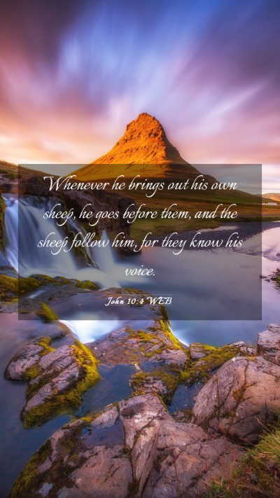 Picture 03 - John 10:4 WEB Mobile Phone Wallpaper - Whenever he brings out his own sheep, he goes - Mobile Bible Verse Wallpaper