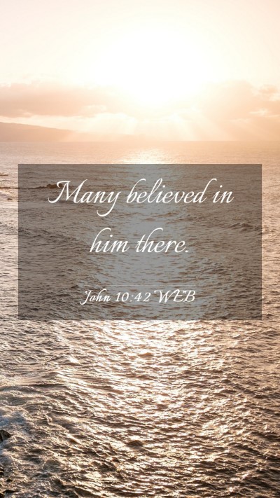 Picture 03 - John 10:42 WEB Mobile Phone Wallpaper - Many believed in him - Mobile Bible Verse Wallpaper