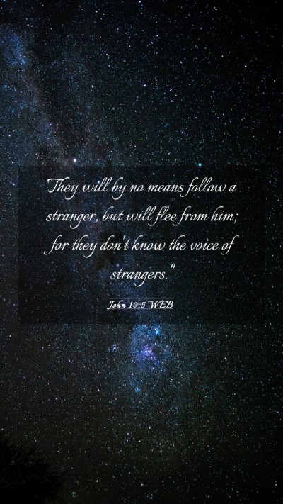 Picture 03 - John 10:5 WEB Mobile Phone Wallpaper - They will by no means follow a stranger, but will - Mobile Bible Verse Wallpaper
