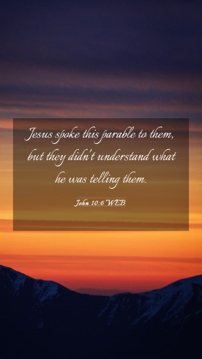 Picture 03 - John 10:6 WEB Mobile Phone Wallpaper - Jesus spoke this parable to them, but they didn't - Mobile Bible Verse Wallpaper