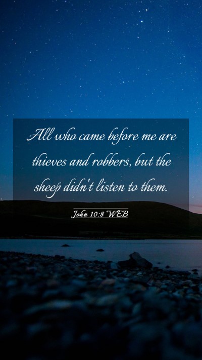 Picture 03 - John 10:8 WEB Mobile Phone Wallpaper - All who came before me are thieves and robbers, - Mobile Bible Verse Wallpaper