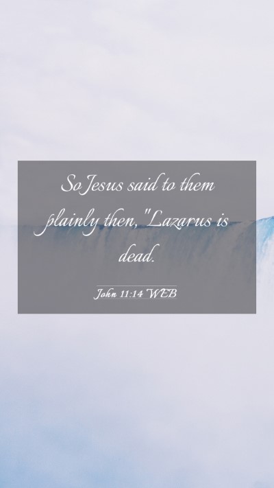 Picture 03 - John 11:14 WEB Mobile Phone Wallpaper - So Jesus said to them plainly then, 