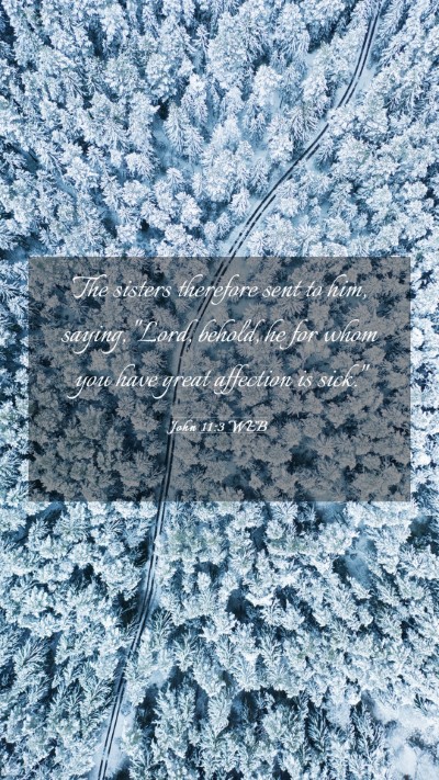 Picture 03 - John 11:3 WEB Mobile Phone Wallpaper - The sisters therefore sent to him, saying, 