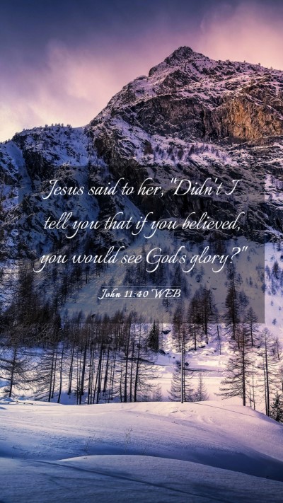 Picture 03 - John 11:40 WEB Mobile Phone Wallpaper - Jesus said to her, 