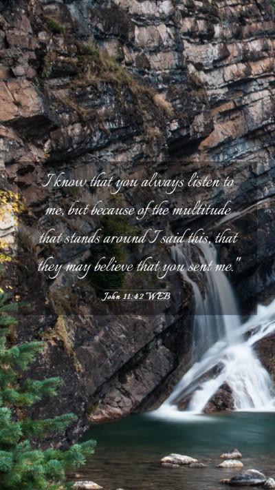 Picture 03 - John 11:42 WEB Mobile Phone Wallpaper - I know that you always listen to me, but because - Mobile Bible Verse Wallpaper