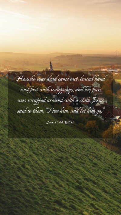 Picture 03 - John 11:44 WEB Mobile Phone Wallpaper - He who was dead came out, bound hand and foot - Mobile Bible Verse Wallpaper