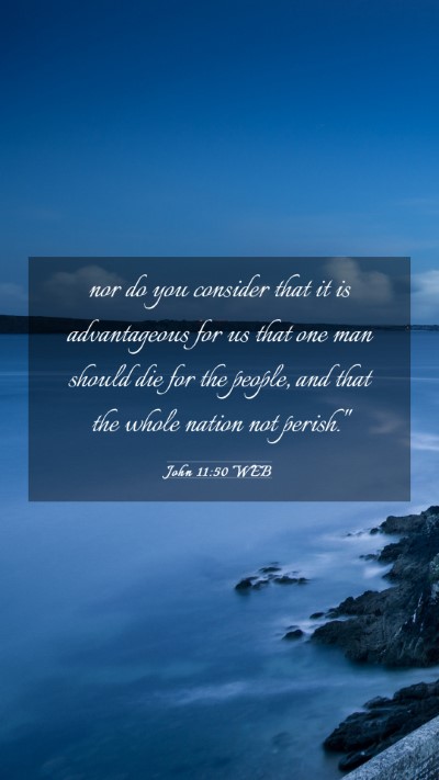 Picture 03 - John 11:50 WEB Mobile Phone Wallpaper - nor do you consider that it is advantageous for - Mobile Bible Verse Wallpaper