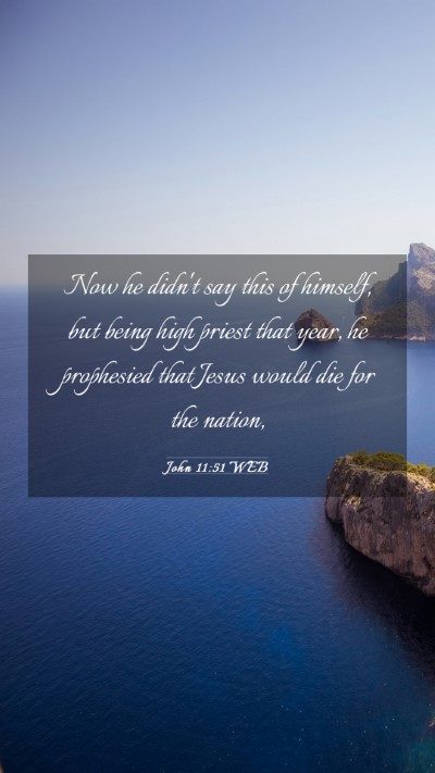 Picture 03 - John 11:51 WEB Mobile Phone Wallpaper - Now he didn't say this of himself, but being high - Mobile Bible Verse Wallpaper