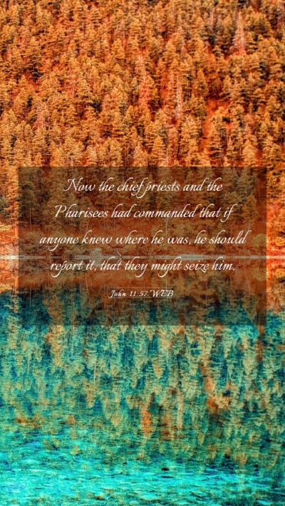 Picture 03 - John 11:57 WEB Mobile Phone Wallpaper - Now the chief priests and the Pharisees had - Mobile Bible Verse Wallpaper