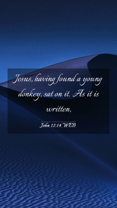 Picture 03 - John 12:14 WEB Mobile Phone Wallpaper - Jesus, having found a young donkey, sat on it. As - Mobile Bible Verse Wallpaper