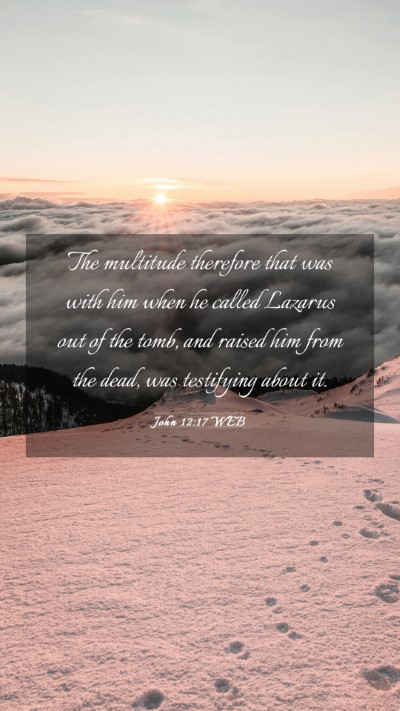 Picture 03 - John 12:17 WEB Mobile Phone Wallpaper - The multitude therefore that was with him when he - Mobile Bible Verse Wallpaper