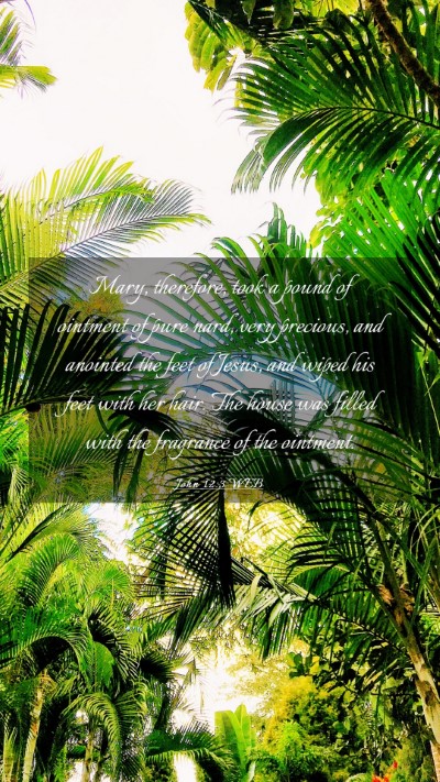 Picture 03 - John 12:3 WEB Mobile Phone Wallpaper - Mary, therefore, took a pound of ointment of pure - Mobile Bible Verse Wallpaper