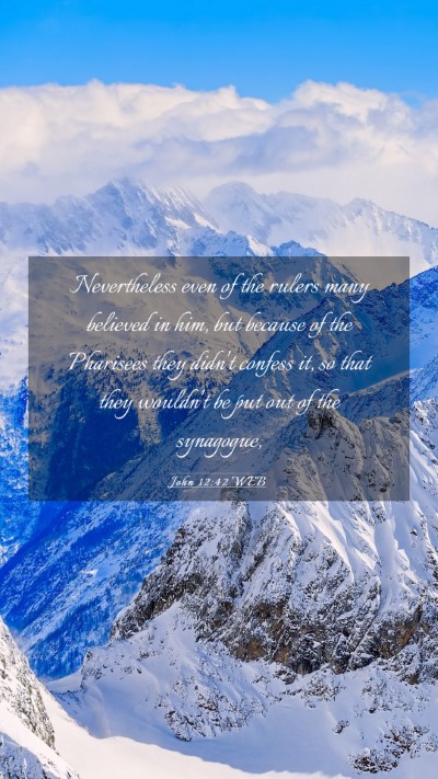 Picture 03 - John 12:42 WEB Mobile Phone Wallpaper - Nevertheless even of the rulers many believed in - Mobile Bible Verse Wallpaper