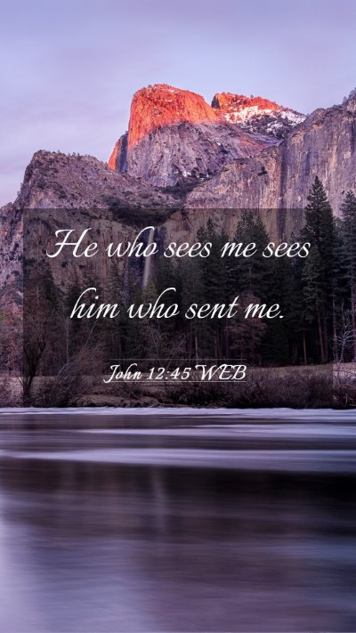 Picture 03 - John 12:45 WEB Mobile Phone Wallpaper - He who sees me sees him who sent - Mobile Bible Verse Wallpaper