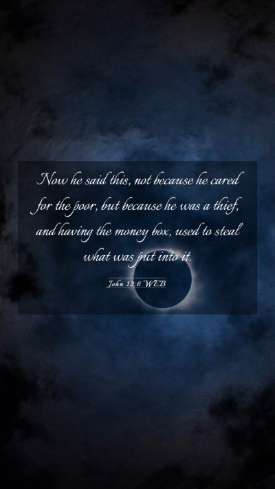 Picture 03 - John 12:6 WEB Mobile Phone Wallpaper - Now he said this, not because he cared for the - Mobile Bible Verse Wallpaper
