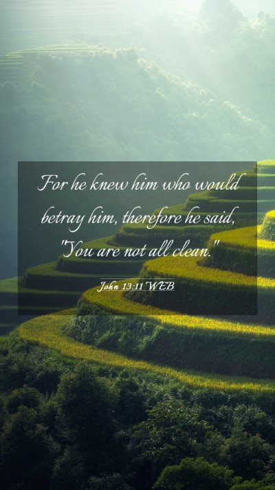 Picture 03 - John 13:11 WEB Mobile Phone Wallpaper - For he knew him who would betray him, therefore - Mobile Bible Verse Wallpaper