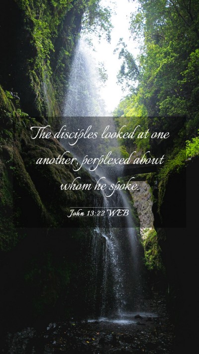 Picture 03 - John 13:22 WEB Mobile Phone Wallpaper - The disciples looked at one another, perplexed - Mobile Bible Verse Wallpaper