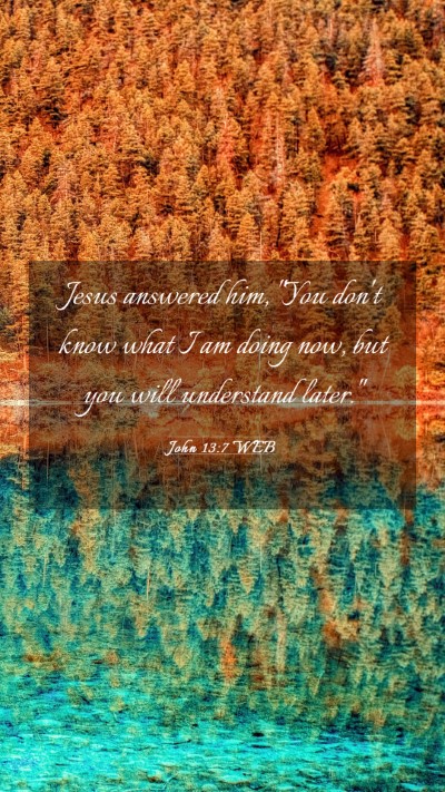 Picture 03 - John 13:7 WEB Mobile Phone Wallpaper - Jesus answered him, 