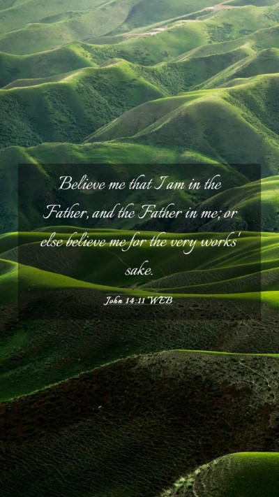 Picture 03 - John 14:11 WEB Mobile Phone Wallpaper - Believe me that I am in the Father, and the - Mobile Bible Verse Wallpaper