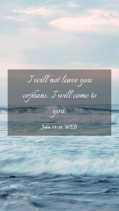 Picture 03 - John 14:18 WEB Mobile Phone Wallpaper - I will not leave you orphans. I will come to - Mobile Bible Verse Wallpaper