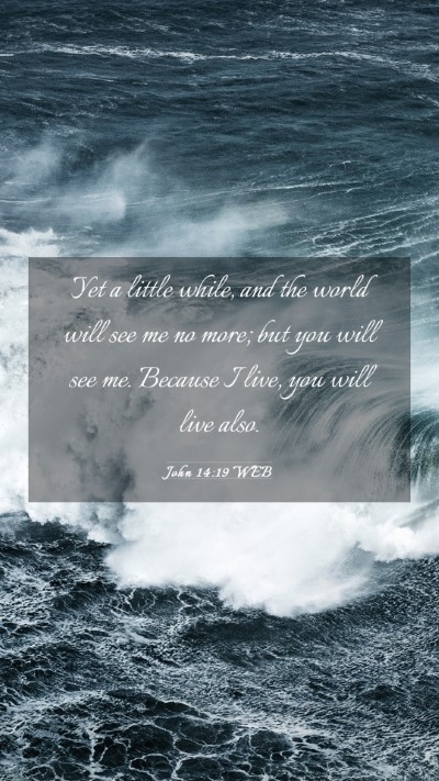 Picture 03 - John 14:19 WEB Mobile Phone Wallpaper - Yet a little while, and the world will see me no - Mobile Bible Verse Wallpaper