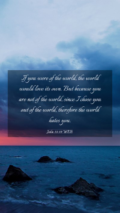 Picture 03 - John 15:19 WEB Mobile Phone Wallpaper - If you were of the world, the world would love - Mobile Bible Verse Wallpaper
