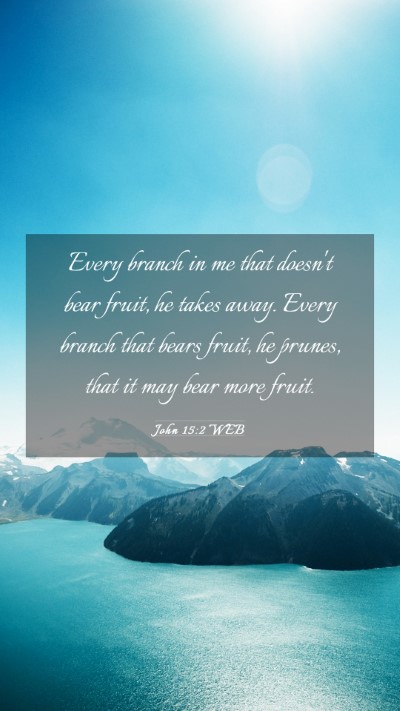 Picture 03 - John 15:2 WEB Mobile Phone Wallpaper - Every branch in me that doesn't bear fruit, he - Mobile Bible Verse Wallpaper