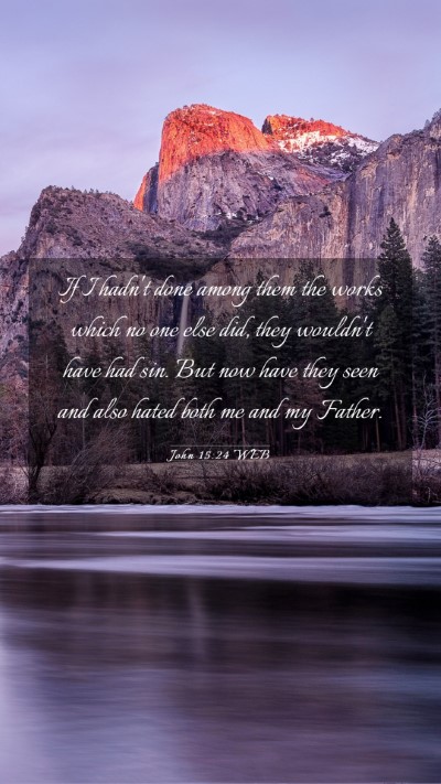 Picture 03 - John 15:24 WEB Mobile Phone Wallpaper - If I hadn't done among them the works which no - Mobile Bible Verse Wallpaper