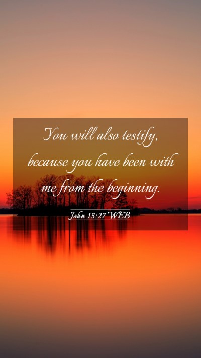 Picture 03 - John 15:27 WEB Mobile Phone Wallpaper - You will also testify, because you have been with - Mobile Bible Verse Wallpaper