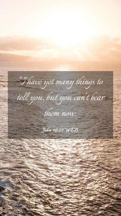 Picture 03 - John 16:12 WEB Mobile Phone Wallpaper - 
