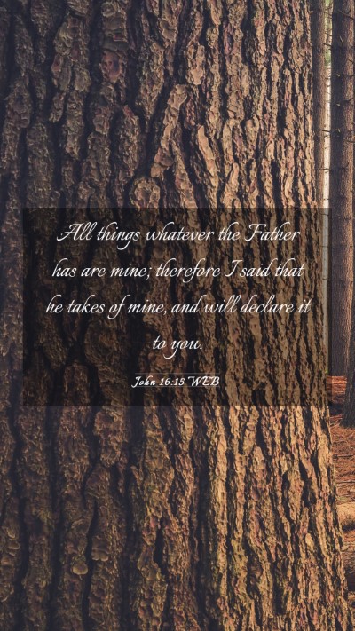 Picture 03 - John 16:15 WEB Mobile Phone Wallpaper - All things whatever the Father has are mine; - Mobile Bible Verse Wallpaper