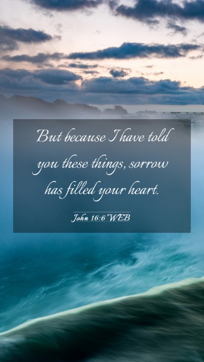 Picture 03 - John 16:6 WEB Mobile Phone Wallpaper - But because I have told you these things, sorrow - Mobile Bible Verse Wallpaper