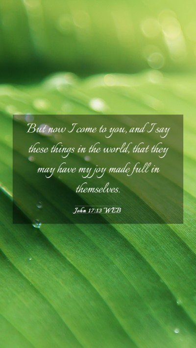 Picture 03 - John 17:13 WEB Mobile Phone Wallpaper - But now I come to you, and I say these things in - Mobile Bible Verse Wallpaper