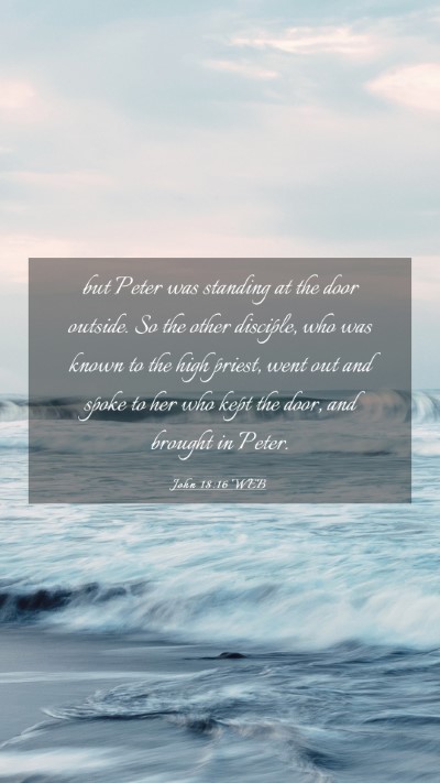 Picture 03 - John 18:16 WEB Mobile Phone Wallpaper - but Peter was standing at the door outside. So - Mobile Bible Verse Wallpaper