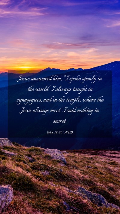 Picture 03 - John 18:20 WEB Mobile Phone Wallpaper - Jesus answered him, 
