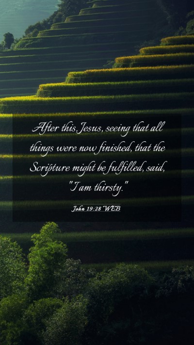 Picture 03 - John 19:28 WEB Mobile Phone Wallpaper - After this, Jesus, seeing that all things were - Mobile Bible Verse Wallpaper