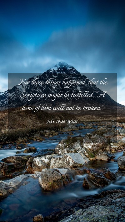 Picture 03 - John 19:36 WEB Mobile Phone Wallpaper - For these things happened, that the Scripture - Mobile Bible Verse Wallpaper