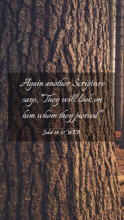 Picture 03 - John 19:37 WEB Mobile Phone Wallpaper - Again another Scripture says, 