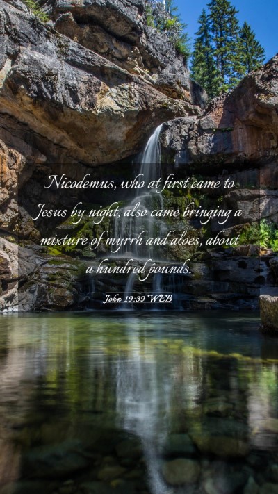 Picture 03 - John 19:39 WEB Mobile Phone Wallpaper - Nicodemus, who at first came to Jesus by night, - Mobile Bible Verse Wallpaper