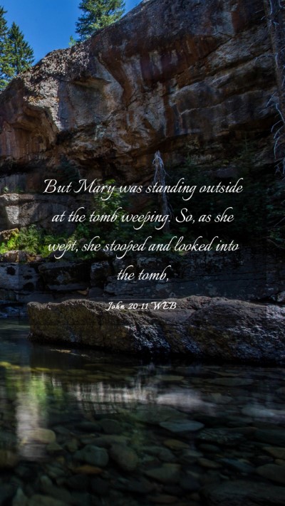 Picture 03 - John 20:11 WEB Mobile Phone Wallpaper - But Mary was standing outside at the tomb - Mobile Bible Verse Wallpaper