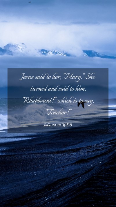 Picture 03 - John 20:16 WEB Mobile Phone Wallpaper - Jesus said to her, 