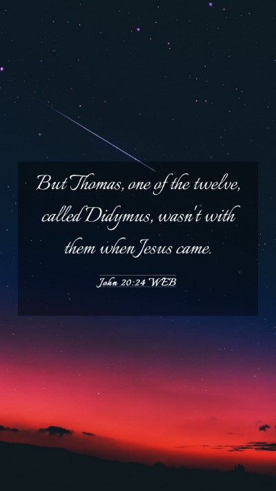 Picture 03 - John 20:24 WEB Mobile Phone Wallpaper - But Thomas, one of the twelve, called Didymus, - Mobile Bible Verse Wallpaper