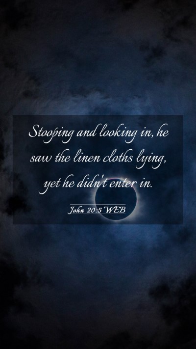 Picture 03 - John 20:5 WEB Mobile Phone Wallpaper - Stooping and looking in, he saw the linen cloths - Mobile Bible Verse Wallpaper