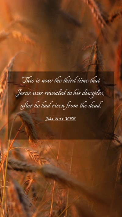 Picture 03 - John 21:14 WEB Mobile Phone Wallpaper - This is now the third time that Jesus was - Mobile Bible Verse Wallpaper
