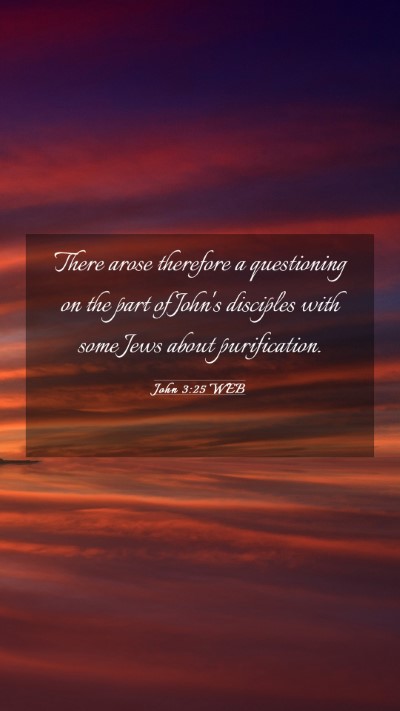 Picture 03 - John 3:25 WEB Mobile Phone Wallpaper - There arose therefore a questioning on the part - Mobile Bible Verse Wallpaper