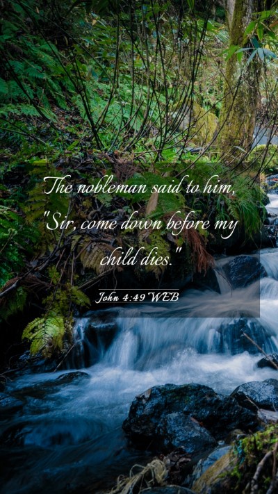 Picture 03 - John 4:49 WEB Mobile Phone Wallpaper - The nobleman said to him, 