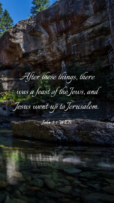 Picture 03 - John 5:1 WEB Mobile Phone Wallpaper - After these things, there was a feast of the - Mobile Bible Verse Wallpaper