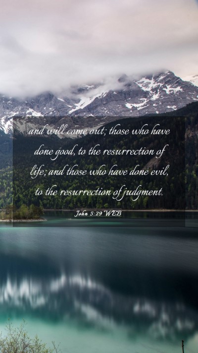Picture 03 - John 5:29 WEB Mobile Phone Wallpaper - and will come out; those who have done good, to - Mobile Bible Verse Wallpaper